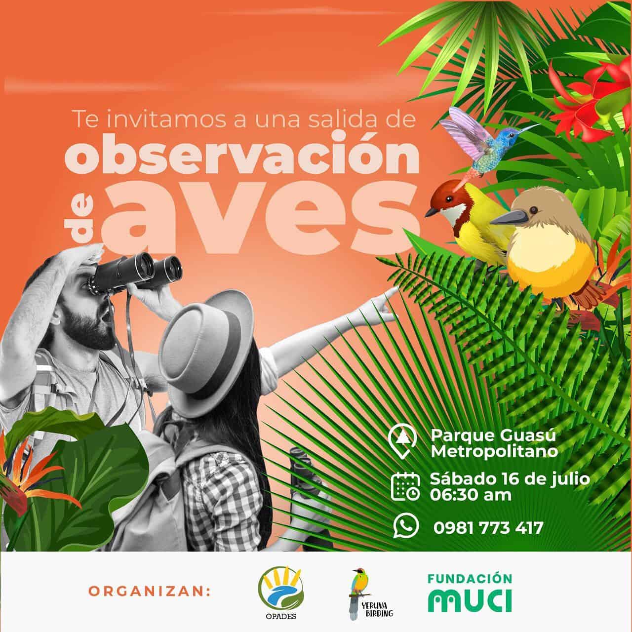 Observación De Aves Muci