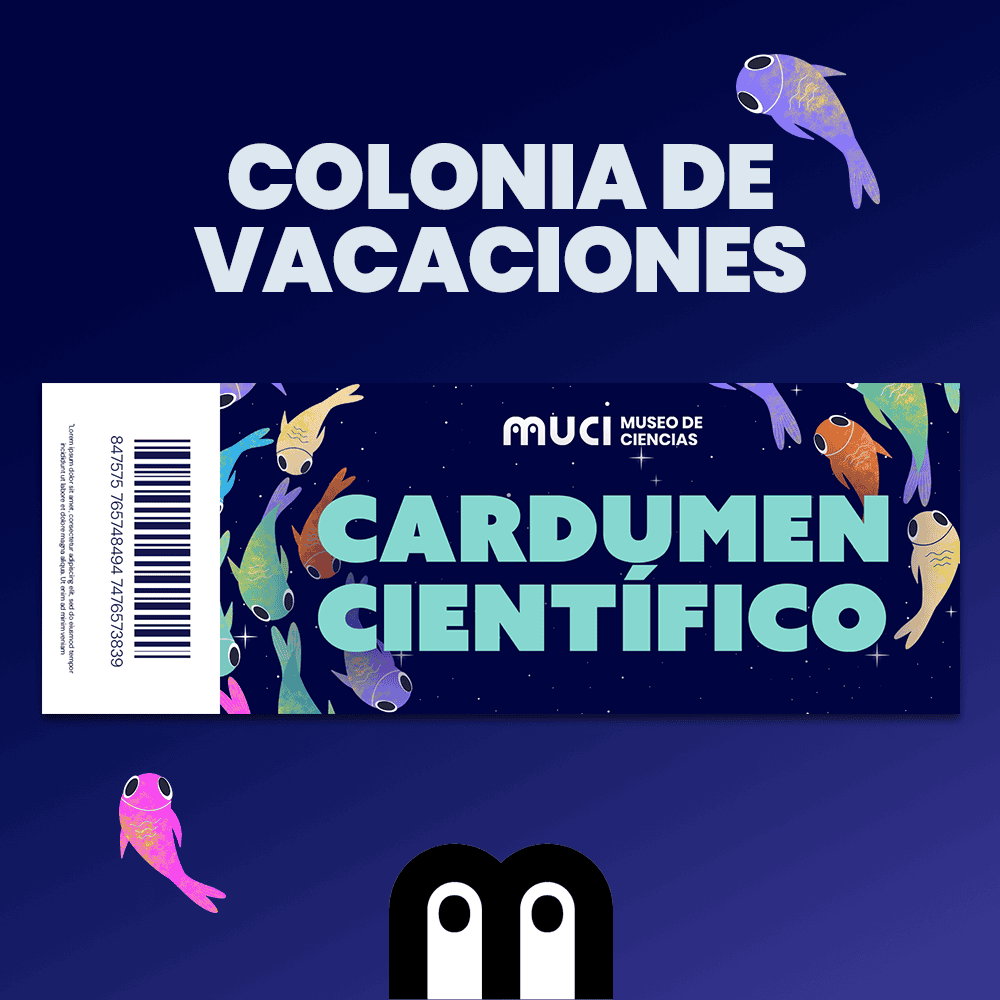 TICKET-COLONIA