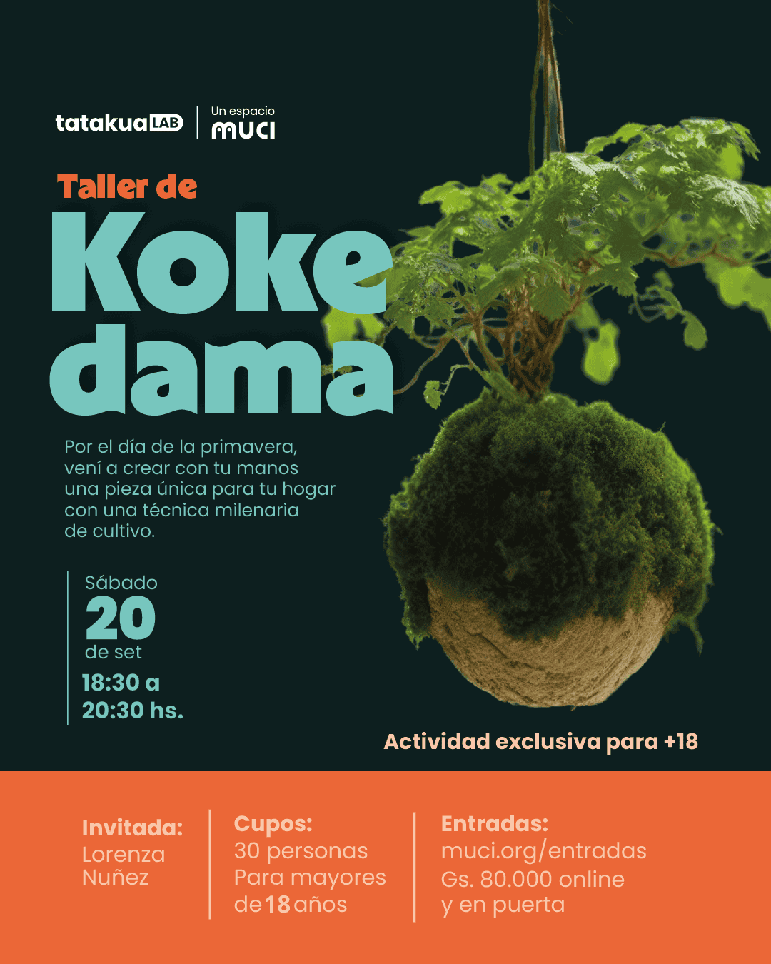 kokedama-2