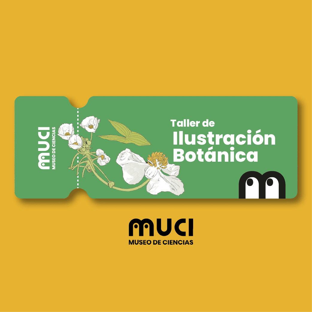ENTRADAS ACTIVIDADES_Mesa-trabajo