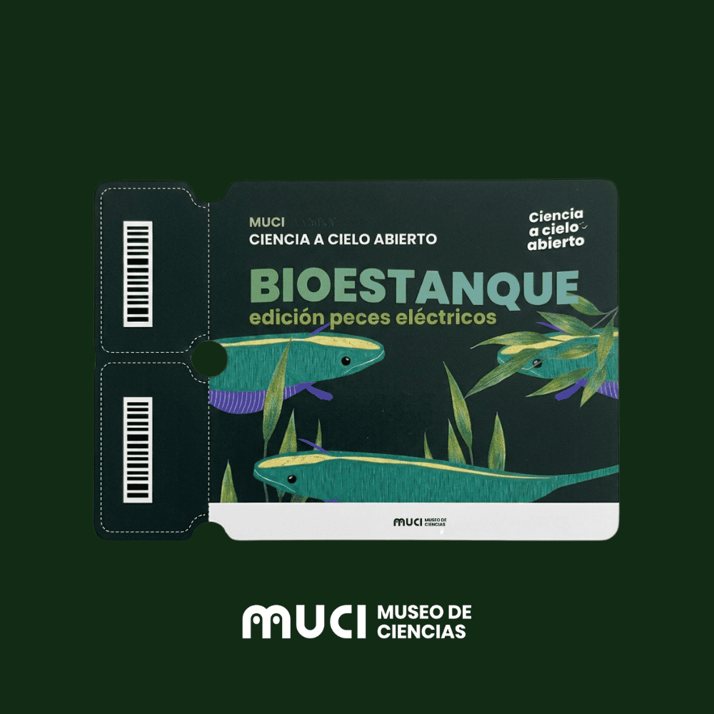 biostanque