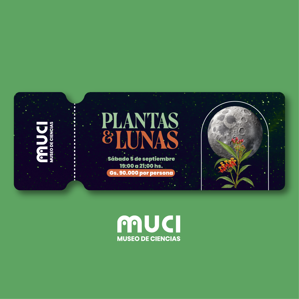PLANTAS Y LUNAS