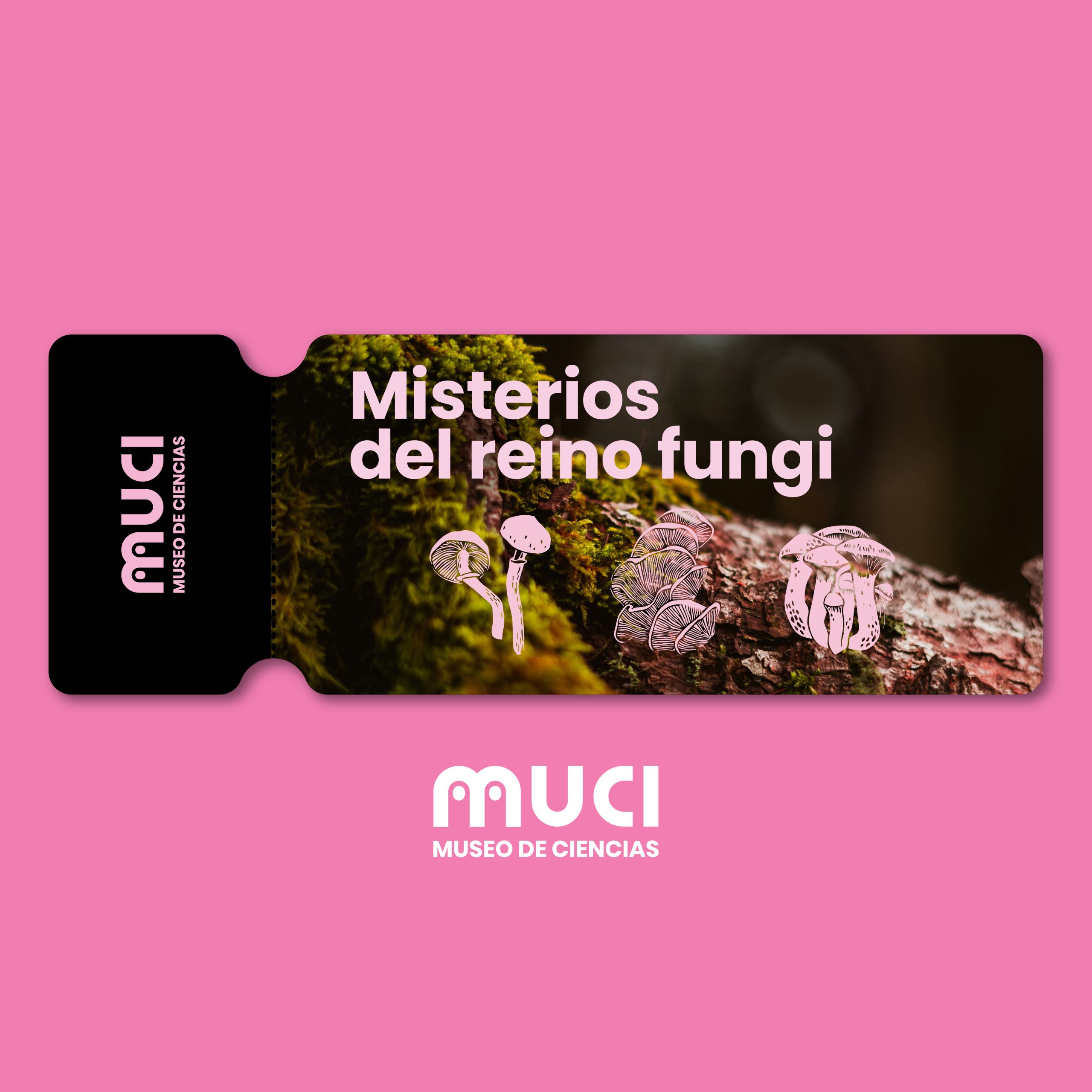 Tickets - misterios del reino fungi-02