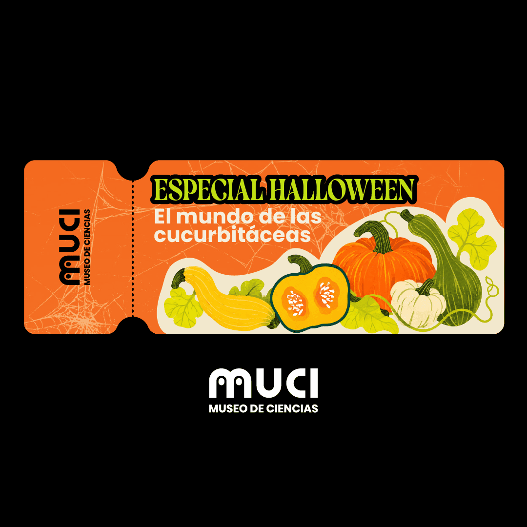Entradas_Especial Halloween (1)