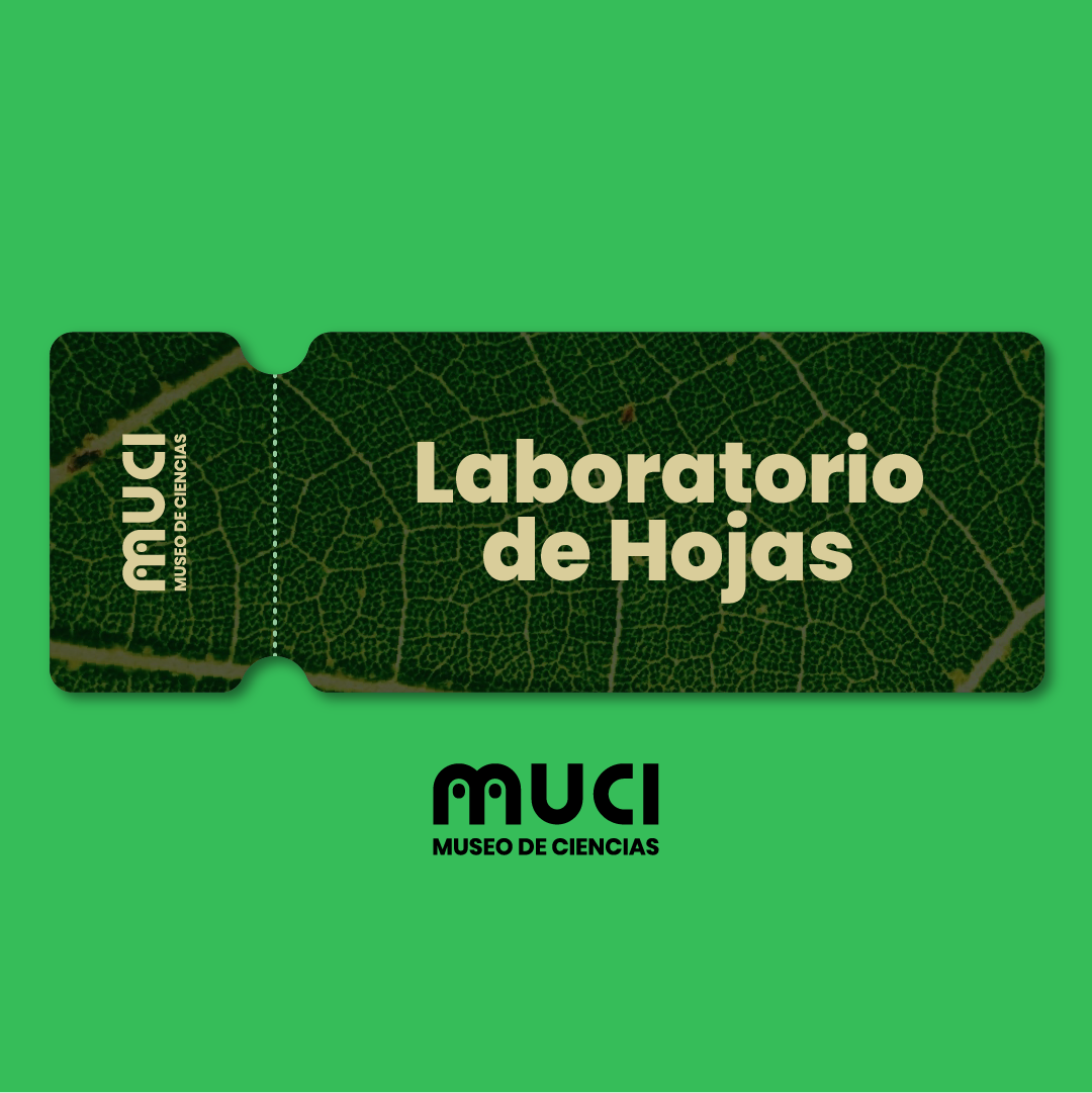laboratorio-de-hojas
